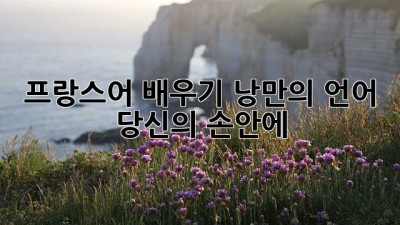 프랑스어 배우기: 낭만의 언어, 당신의 손안에