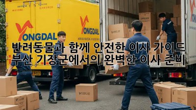 반려동물과 함께 안전한 이사 가이드: 부산 기장군에서의 완벽한 이사 준비